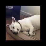 Penny Hudson - @penny_tinkler1 - Instagram