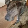 Penny Hunt - @penny.hunt4 - TikTok