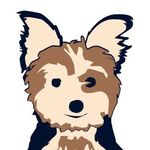 🐾 Penny & Jack🌈 🐾 - @pennyjack9 - Instagram