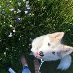 Penny Carlson-Jacobs - @peeenpooon - Instagram