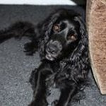 Penny Jefferson - @pennyjefferson76 - Instagram