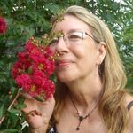 Penny Schultz Jeffers - @tebocep768 - Instagram