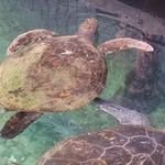 Penny Jensen - @pjensen076 - Instagram