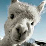 Penny Jensen - @penny.jensen.357 - Instagram