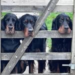 Penny Judd - @pennyjudd7 - Instagram