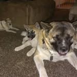 Penny Kelley - @prettypbj - Instagram