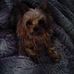 Penny Kelley - Facebook