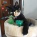 Penny Kemp - Facebook