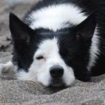 Penny Kemp - @penabby - Instagram