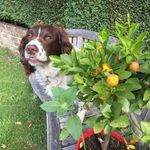 Penny Kemp - @penny01kemp - Instagram