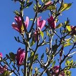Penny Kent - @kentvalley - Instagram