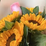 Penny Kentucky - @penny_kentucky - Instagram