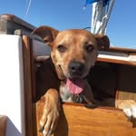 Penny Kirk - @pennypuppyface - Instagram
