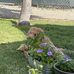 Penny Kirk - Facebook