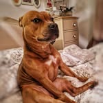 Penny Kirk Campbell - @penny.kirk.77 - Instagram