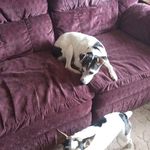 Penny Kunz - @penny.kunz.1 - Instagram