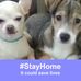 Penny Lanier - Facebook