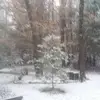 Penny Latimer - @penny.latimer - TikTok
