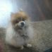 Penny Leger - Facebook