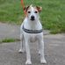 Penny Link - Facebook