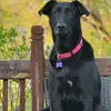 pennyandlink - @pennyandlink - TikTok