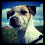 123 - @pennylotte7 - Instagram