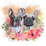 🤍 Penny and Lotty 🤎 - @pennyandlottyfrenchies - Instagram