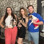 Millie🐶 Penny🐾 Lottie😻 - @millie_penny_lottie - Instagram