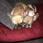 @penny__lotty - Instagram