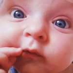 Penny&Lottie - @pennyandlottieiris - Instagram