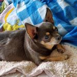 Penny Lowe - @pennylowe191 - Instagram