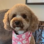 Penny Maple - @penny_maple52022 - Instagram