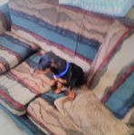 Penny Maples - Facebook