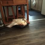 Penny Markos - Facebook