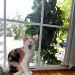 Penny Markos  - Facebook