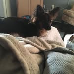 Penny Nettles - @pennymarkos0 - Instagram