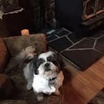 Penny McBride Wagner - @mcbridewagner - Instagram