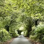 Penny McCrea - @pennymccrea - Instagram