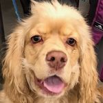 Penny McDowell - @pennylynnmcdowell - Instagram