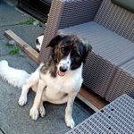 penny mclaughlin - @pennyboo111 - Instagram