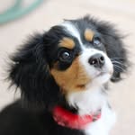 Penny - @pennyymclaughlin - Instagram