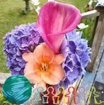 Penny Mears - Facebook
