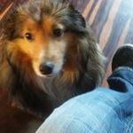 Penny Mears - @mearspenny - Instagram