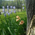 Penny Messinger - @penny.messinger1 - Instagram