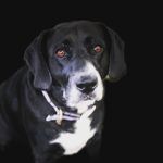 Penny - @the_pennymessinger - Instagram