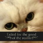 Penny Miles - @penny.miles.102 - Instagram