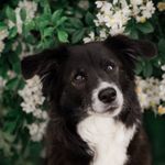 Penny 🤍 - @romanian_mix_penny - Instagram