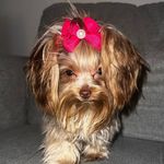 Penny Monroe - @penny.monroe_2023 - Instagram