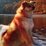 Penny Morrison - @wvpenny65 - Instagram