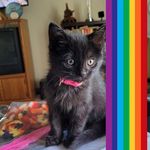 Penny Morrow - @pennym9320 - Instagram